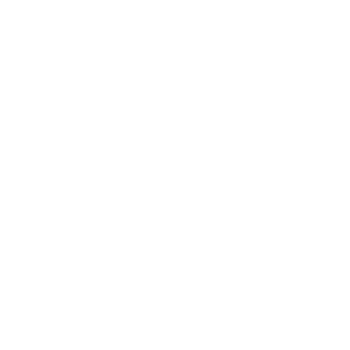 Lincua Academy